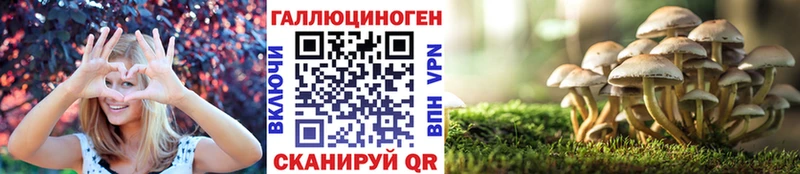 купить наркоту  Орск  это официальный сайт  Галлюциногенные грибы Magic Shrooms 